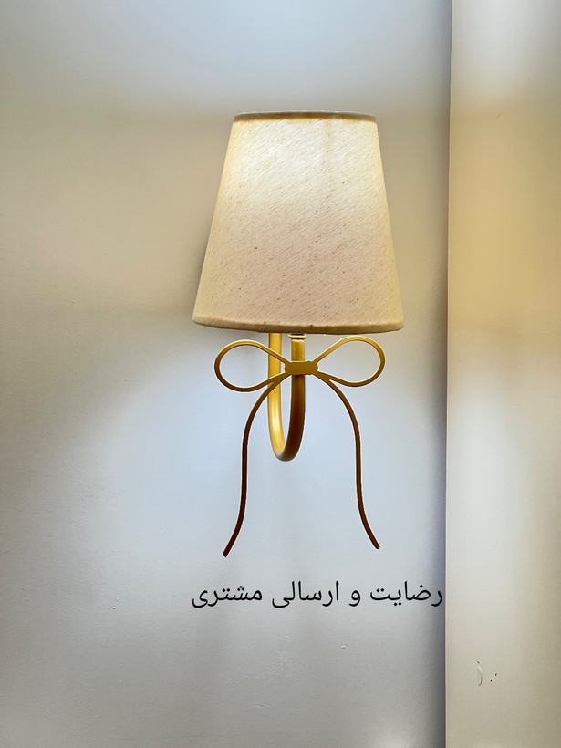 دیوارکوب فلزی مدرن پاپیونی D161🌟